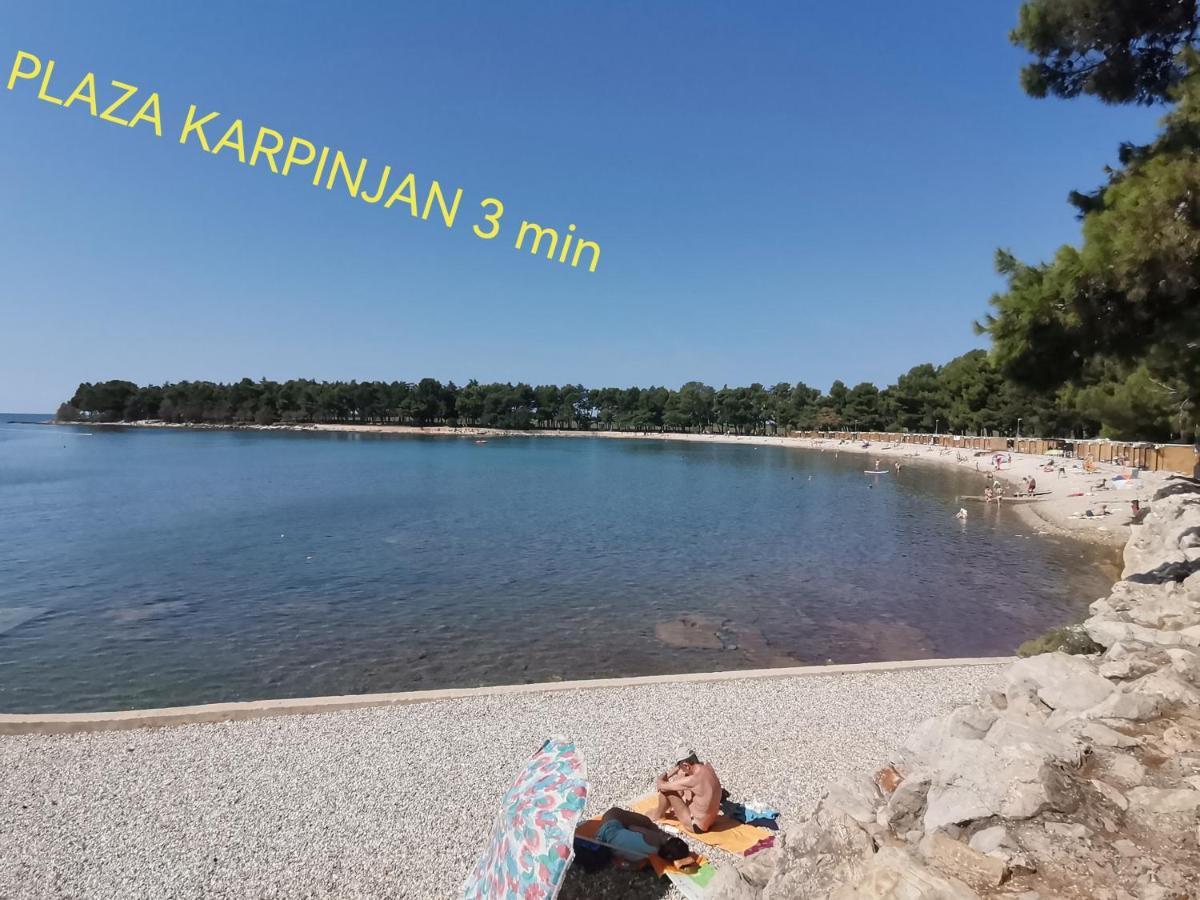 Apartman Hola Novigrad Istria Kültér fotó